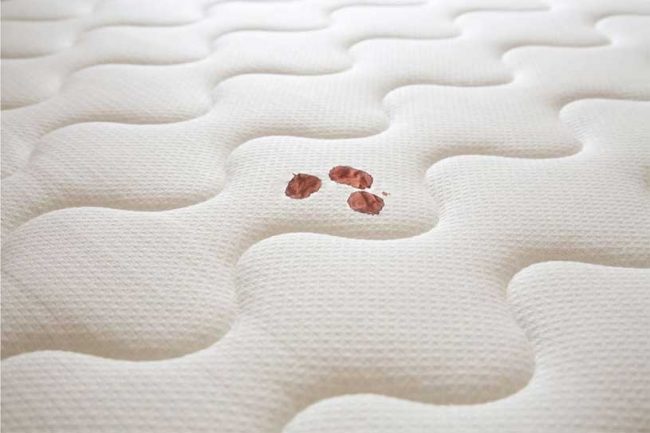 togliere le macchie di sangue dal materasso