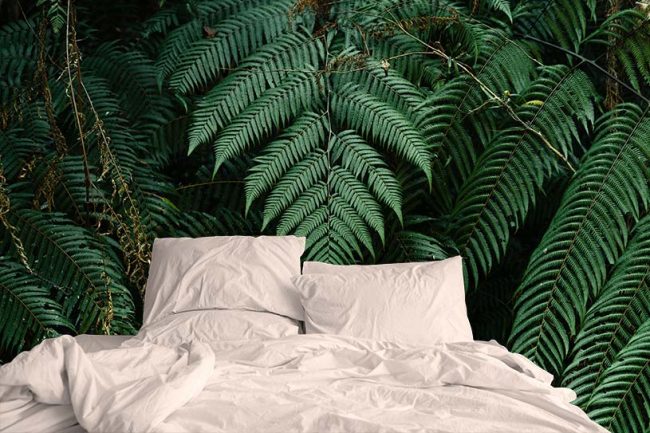 chi ha inventato il materasso